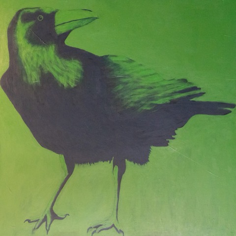 Crow