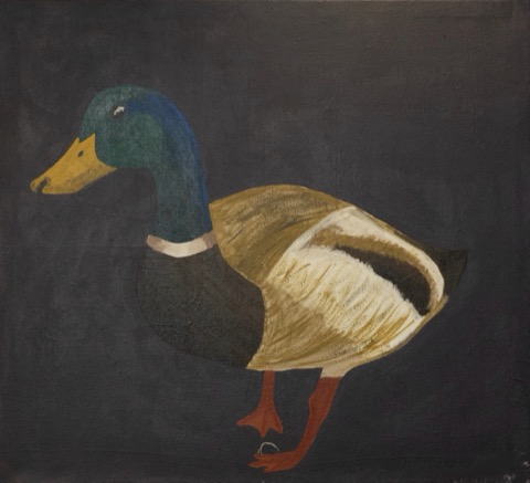 Mallard