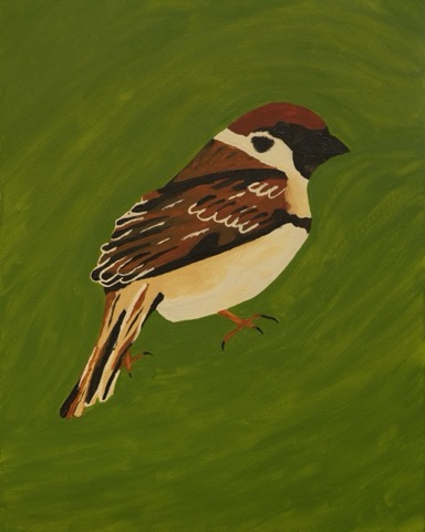 Sparrow
